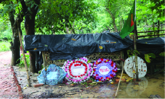 Image of মো: তানভীর ছিদ্দিকী